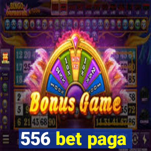 556 bet paga